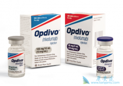 PD-1���Ƽ�ŷ���֣�Opdivo������������ҩ����