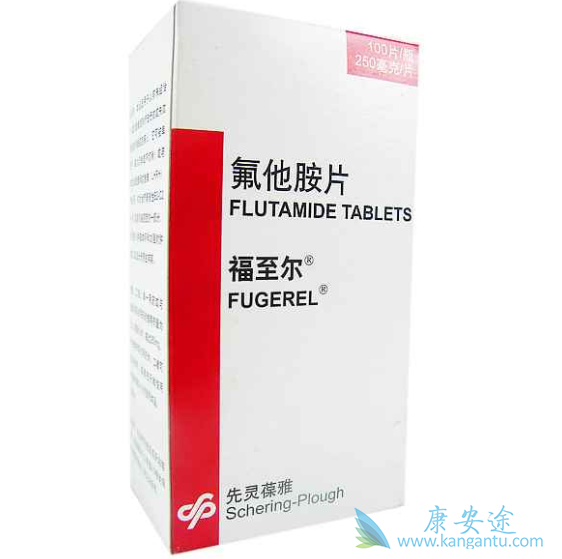 ������Ƭ