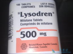 ������Ƥ�ʰ�����������Ҫ����̹����������