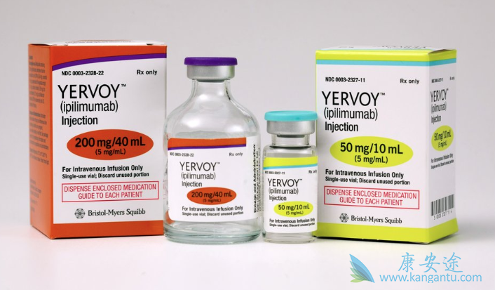 ��ƥľ����