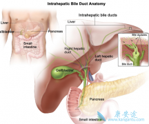 ��ҩinfigratinib�������ڵ��ܰ����ߵ�����Ч����ô����