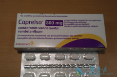 ��������(Vandetanib)˵�����еĺڿ򾯸���ʲô��