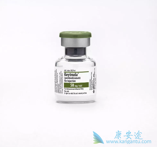 �������鵥��