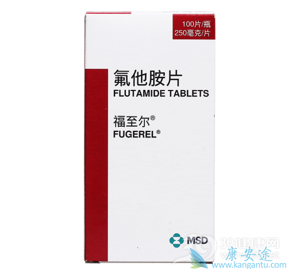 ������Ƭ