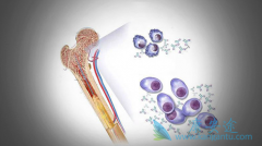 �෢�Թ���������Ĺ�ʹͨ������ʲô�ص㣿