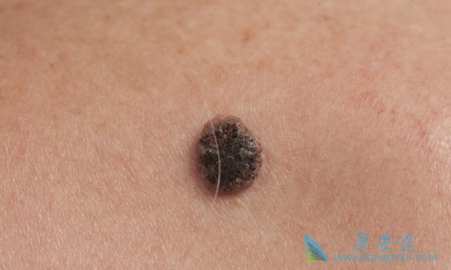 ��ɫ����