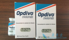 ���䵥��(opdivo)������״ϸ�����ͷ�С�ΰ�Ч�����ڻ���