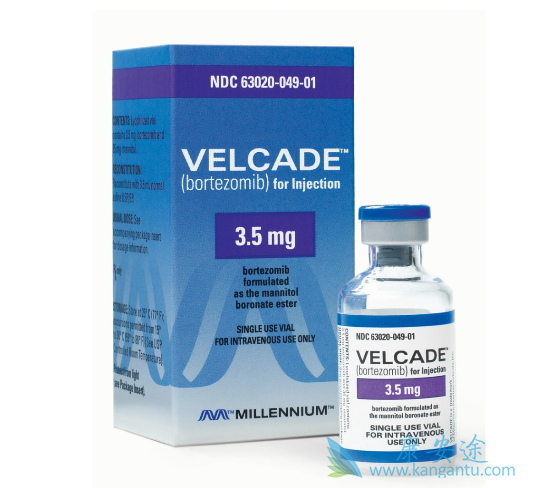 硼替佐米 硼替佐米