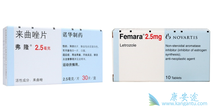 ������Ƭ