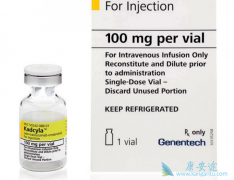 T-DM1������HER2������ķ��ٰ���