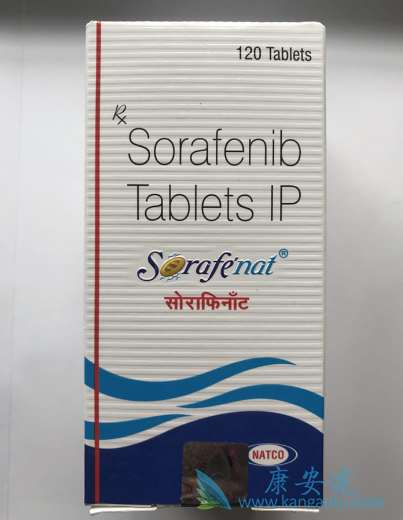 ��������Ƭ