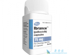 ��������(Palbociclib)���µ�������ϸ��������Ҫ������