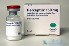 ����ҩ���������͡��������ʳ������