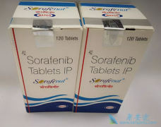 ��������Ƭ�ܹ���׼�������ڸΰ�ϸ�������ٲ���Ҫ������