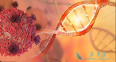 ������ȫ�г������Ը��Ƹ�����������Ƥ�ʰ����ߵ��������а���