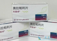 PARP���Ƽ������������ҹ��׸��ѳ������ư���ҩ��