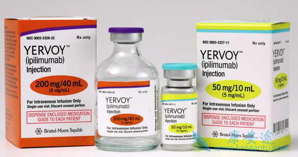 ��ƥľ����