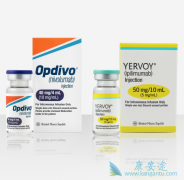 Opdivo����Yervoyһ�������������ߵ�Ч����ô����