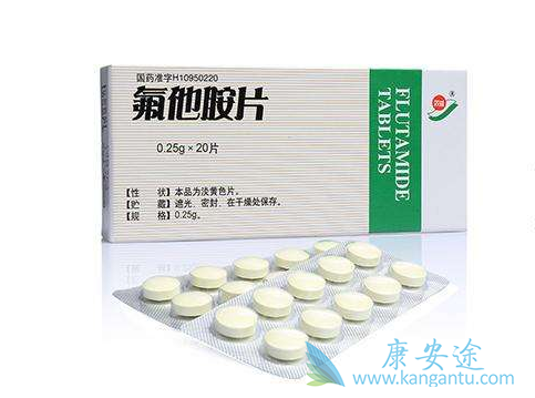 ������Ƭ