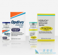 Opdivo��Yervoy����Ʒ��ܹ�����������ϸ������