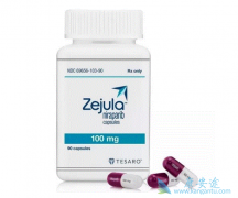 ��������(Zejula)������ķ�����������������ٰ����г־���Ч