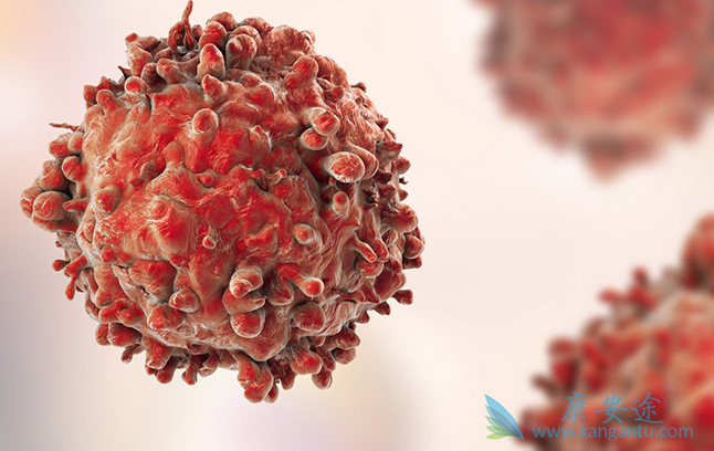 ��ϸ��ת��