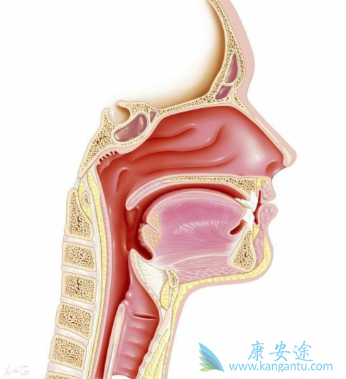 ���ʰ�����