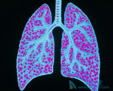 �����Է����м��ַ��ڣ���ͬ���ڸ��к��ص㣿