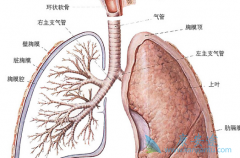 ����������ͪ���ƺ����ά�����߿��ܻ�������صĳ�������