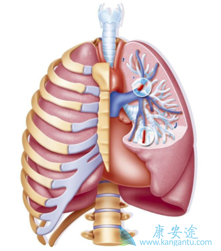 �ζ�����ѹ����