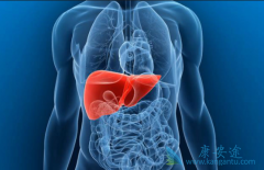 �ٴ��иΰ�������ǰ֢״���������