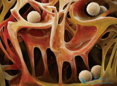 ������֢״���ֺ͵��˹������ܻ���