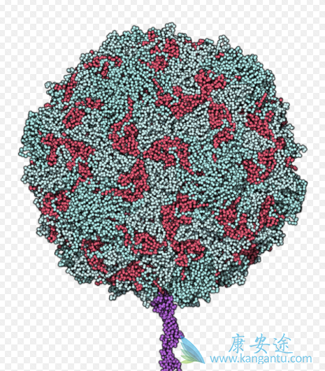 ��������ײ���