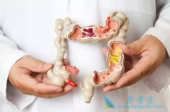 �᳦�������ܻ�������Щ����Ӱ�죿