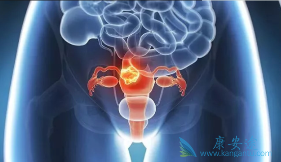 �ѳ�������