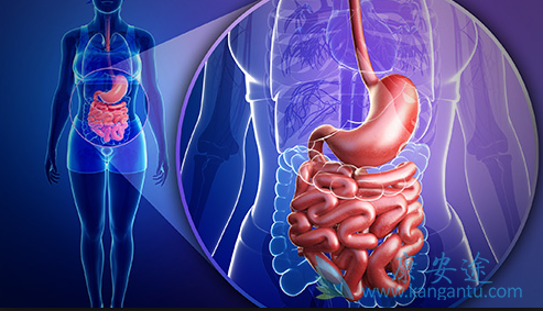 θ��������