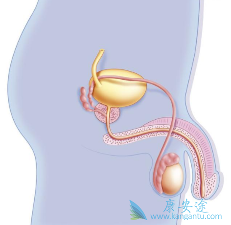 ǰ���ٰ��ܻ���