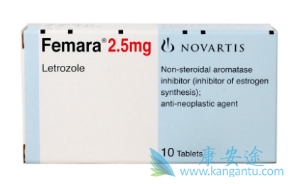 ������Ƭ