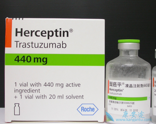 ����͡����Ч