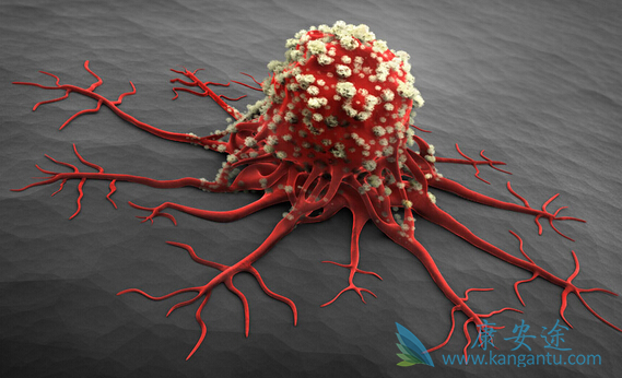 �����������������������