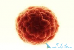 ���߼������Ƽ����ƿ���������������Ч