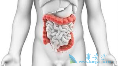 ��ֱ����