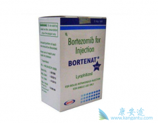 �������׵�������ҩ�����򽫳�Խ��������/���棿