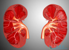 �����������ܻ��ã��������ڻ������Щת�ƣ�