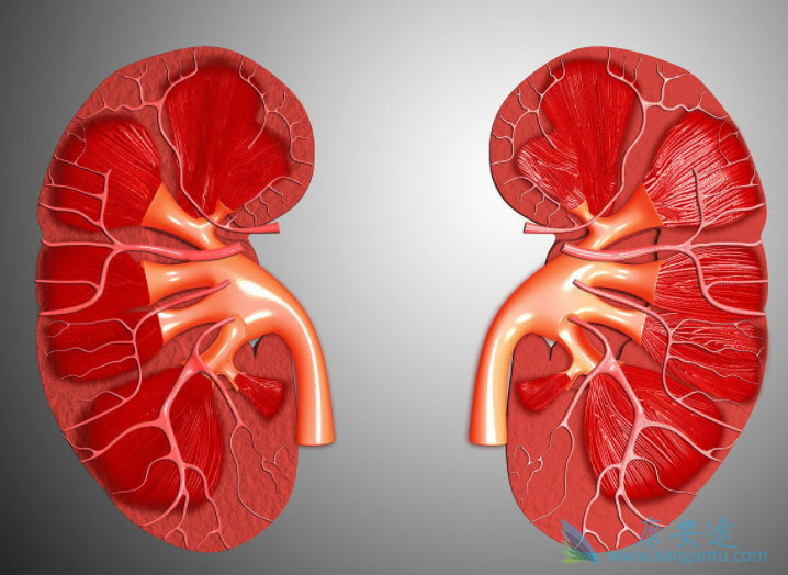 �����������ܻ���