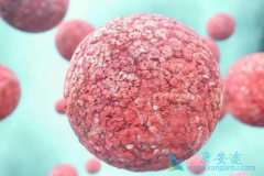 ��֢��ʹ����Ϊ����ת���������