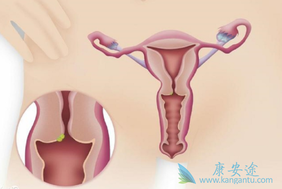 �ӹ�������