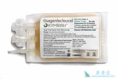 CAR-TǶ�Ͽ�ԭ����Tϸ���Ʒ��Ĵ���ҩ������Щ��