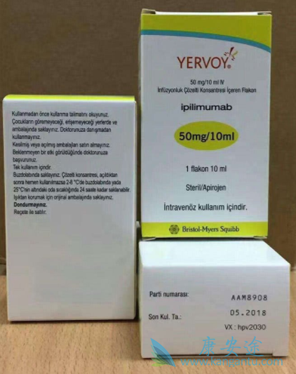 ��ƥľ����