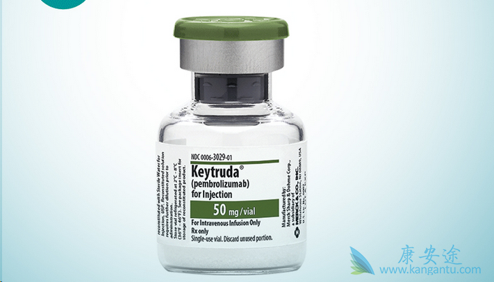 ��ɫ����